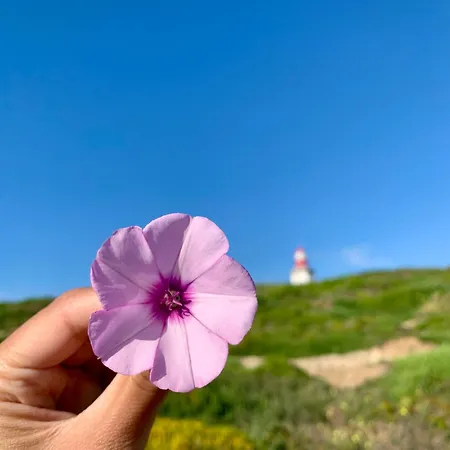 别墅 Luxury Villa- Pool, Garden, Total Privacy 塞辛布拉
