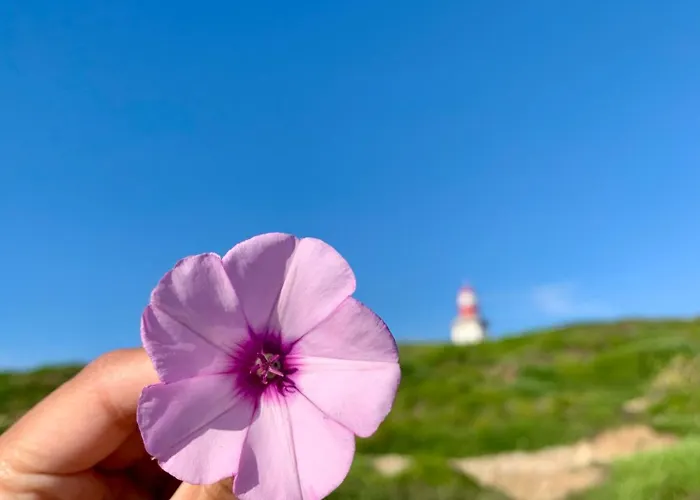 فيلة Luxury Villa- Pool, Garden, Total Privacy سيسيمبرا